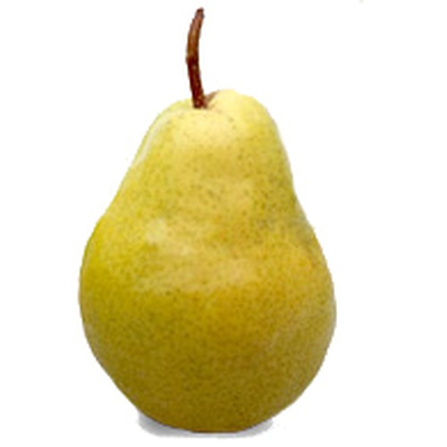 Yellow Bartlett Pear Food Library Shibboleth!