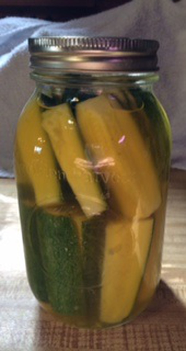 Zucchini Kosher Dill Pickles Recipe Library Shibboleth!